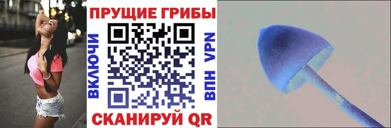 блэк спрут рабочий сайт  Яровое  Галлюциногенные грибы мухоморы  как найти наркотики 